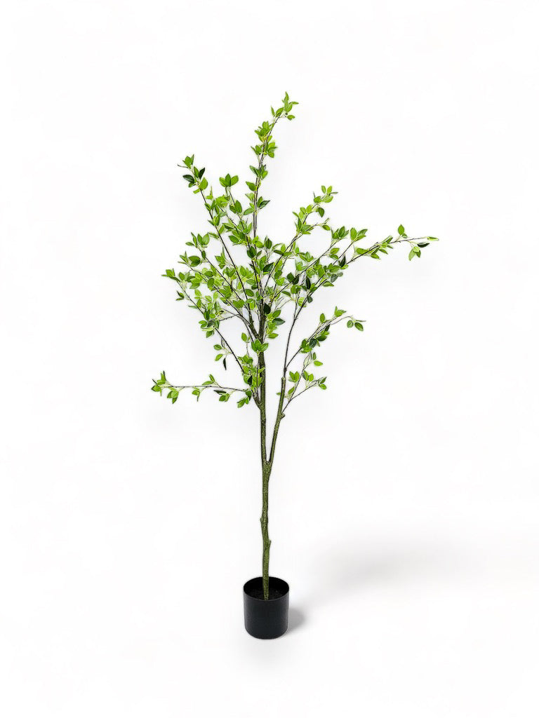 Toon Tree (190)