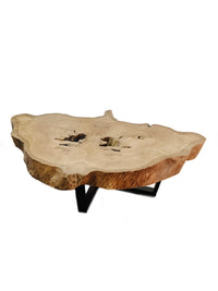 Acacia Wood Slab Coffee Table