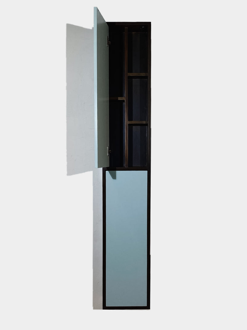 2 door wall cabinet, blue and brown